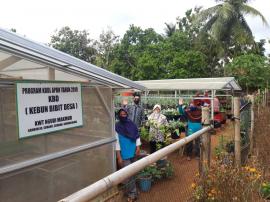 KWT NGUDI MAKMUR SEMANU PANEN SAYURAN HIDROPONIK DITENGAH PANDEMI COVID 19